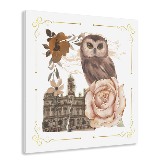 Wise Owl Acrylic Print